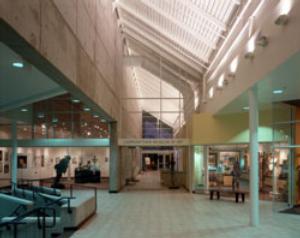 Leepa-Rattner Museum of Art